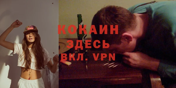ГАЛЛЮЦИНОГЕННЫЕ ГРИБЫ Вяземский