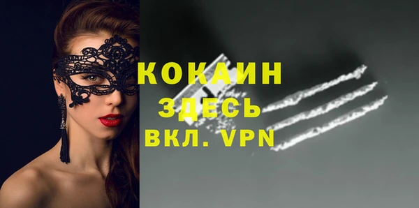 ГАЛЛЮЦИНОГЕННЫЕ ГРИБЫ Вяземский