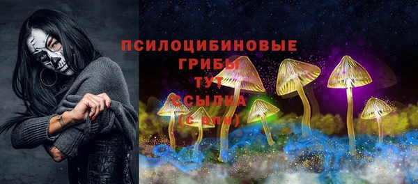 ГАЛЛЮЦИНОГЕННЫЕ ГРИБЫ Вяземский