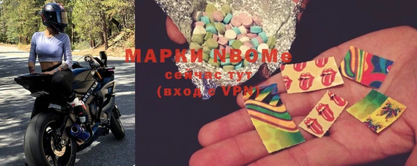 ГАЛЛЮЦИНОГЕННЫЕ ГРИБЫ Вяземский