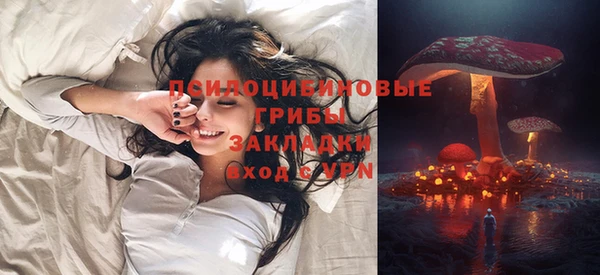 ГАЛЛЮЦИНОГЕННЫЕ ГРИБЫ Вяземский