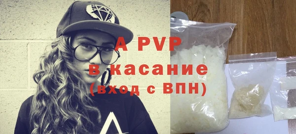 ГАЛЛЮЦИНОГЕННЫЕ ГРИБЫ Вяземский